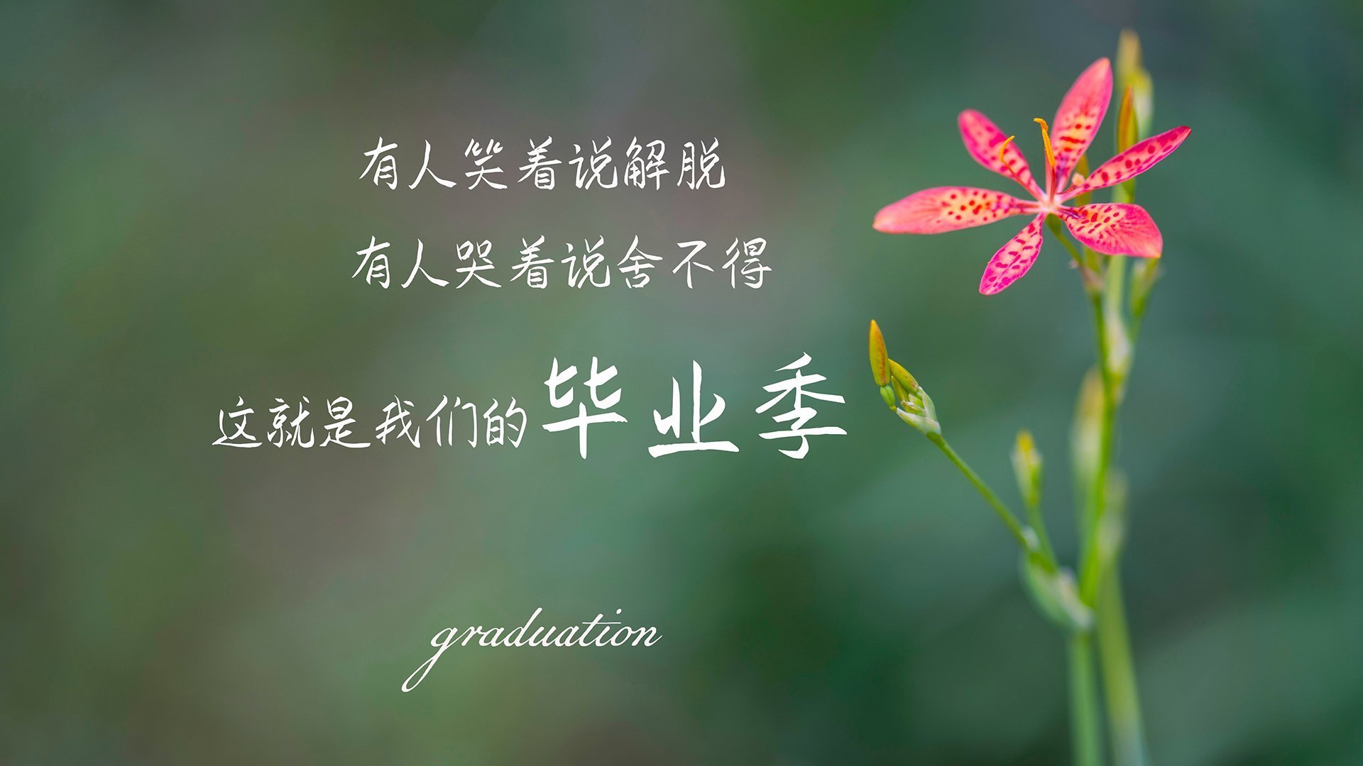 （三个扩展方向供选择）